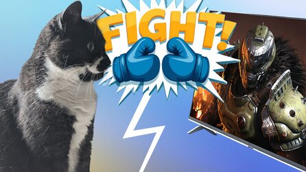 Ich hätte nie gedacht, dass ein simpler TV-Ständer eines meiner Katzenprobleme löst