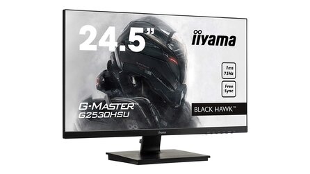 iiyama G-Master G2530HSU - Bilder