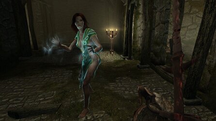The Elder Scrolls 5: Skyrim - Begleiterinnen-Mods