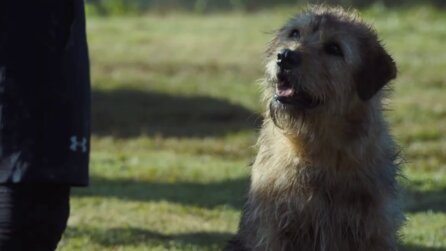 In Arthur der Große erleben ein Extremsportler und ein Vierbeiner ein gemeinsames Abenteuer