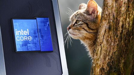 Intel lässt die Wildkatze raus: Ob die neuen CPUs der Schlüssel für leistungsstarke Budget-Laptops sind, hängt von einer Sache ab