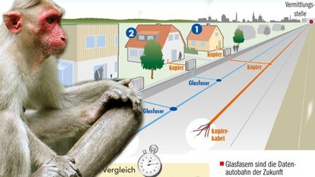 Kolumne zum Internet-Ausbau in Deutschland - Affen gegen Breitband