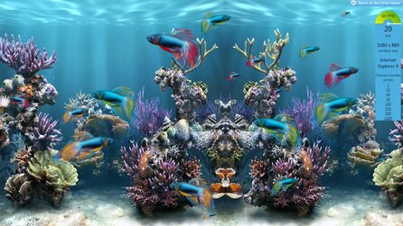 Internet Explorer 9 - 6 Gründe, um die IE9-Beta auszuprobieren