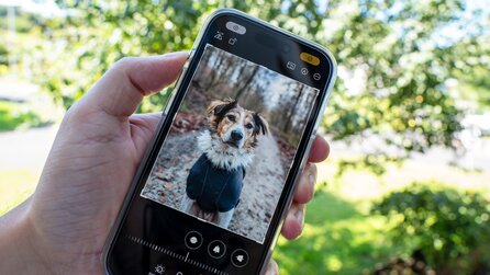iOS 17: Das iPhone erhält zum Bearbeiten von Fotos eine clevere Neuerung, die euch Zeit erspart