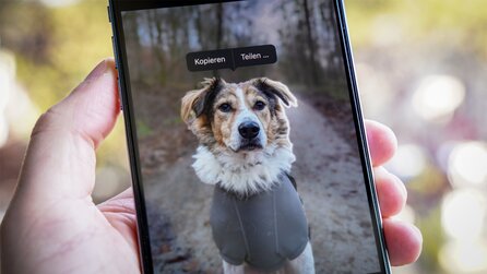 iPhone Fotos freistellen: So funktioniert eines der besten iOS 16-Features