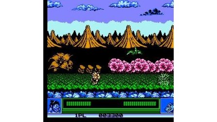 Joe and Mac: Caveman Ninja NES
