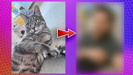 Ich habe mit ChatGPT und Gemini meine Katze zu einem Menschen gemacht und der Sieger ist eindeutig