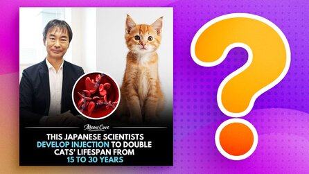 Neue Behandlungsmethode für Katzen soll ihre Lebensspanne »von 15 auf 30 Jahre verdoppeln« und über 1.200 Kommentare setzen sich kritisch damit auseinander