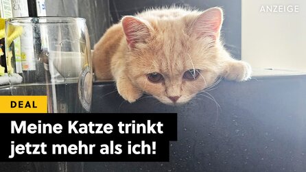 Mein Kater Cody lechzt nach diesem Gerät und dadurch habe ich diese große Sorge nicht mehr!