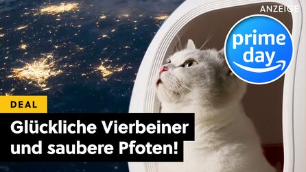 Das smarte Katzenklo, von dem ihr nicht wusstet, dass ihr es braucht: Nur noch heute extrem günstig beim Amazon Prime Day!
