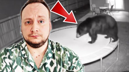 Ich dachte, ich erkenne KI, wenn ich sie sehe – und bin jetzt dank Hasen und einem Bären sogar doppelt drauf reingefallen