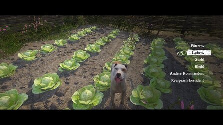 Kingdom Come: Deliverance - Das Los einer Frau - Screenshots