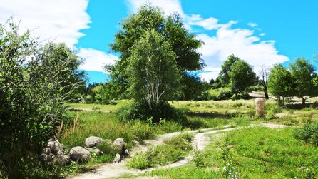 Dieser Wald ist nicht echt, sondern eine Grafik-Mod für Kingdom Come!