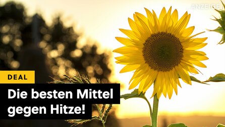 Cool bleiben ohne Klima-Klotz: Diese nachhaltigen Alternativen zur Klimaanlage sind jetzt stark reduziert bei Amazon!