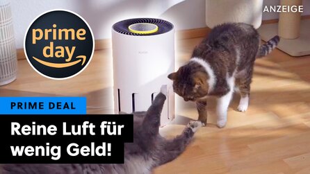 Gestank und staubige Luft adé! Zum Prime Day bekommt ihr noch diesen smarten Luftreiniger zum absoluten Spottpreis!