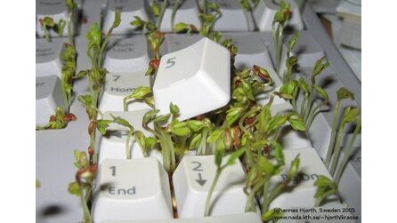 Kurioses - Voll kresses Keyboard