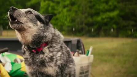 Kurz vor dem Start von Echo zeigt ein neuer Trailer: In der Marvel-Serie gehts ans Eingemachte!