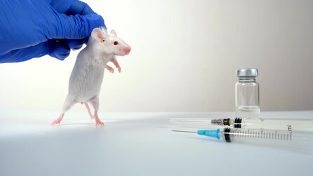 Eine Millionen Mäuse, über 100.000 Ratten und sogar 2.000 Hunde: Deutsche Forscher wollen die große Menge an Experimenten mit Tieren drastisch reduzieren