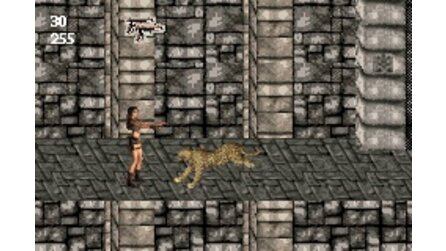 Tomb Raider: Legend GBA