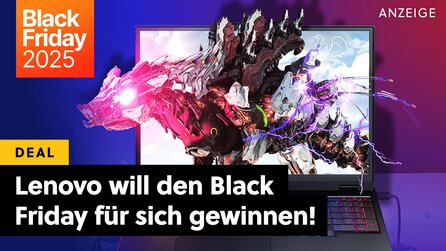 Ich habe jahrelang Laptops getestet aber so ein Preis-Leistungsverhältnis gab es selten