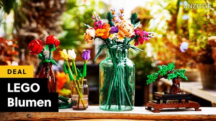 LEGO-Kunstblumen zum Selberbauen nur noch heute ohne MwSt. bei MediaMarkt