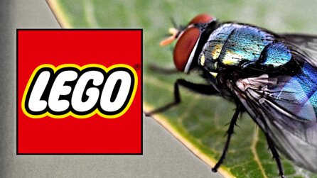 Lego hatte zwei Insekten im Drucker, jetzt finden Leute die Umrisse von echten Fliegen in ihren Bauanleitungen