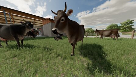 Landwirtschafts-Simulator 22 Guide: So meistert ihr die Tierzucht