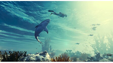 Maneater - Screenshots