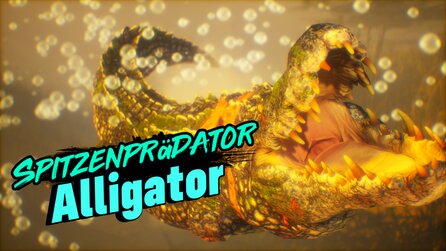 Maneater - Screenshots des Hai-Rollenspiels