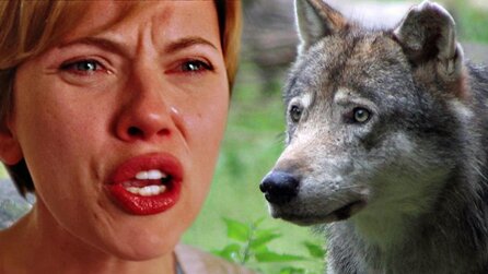 Scarlett Johansson und Adam Driver lieferten sich vor 6 Jahren einen legendären Ehestreit - der wird jetzt benutzt, um Wölfe zu verjagen