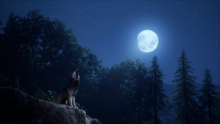 Medieval Dynasty - Screenshots