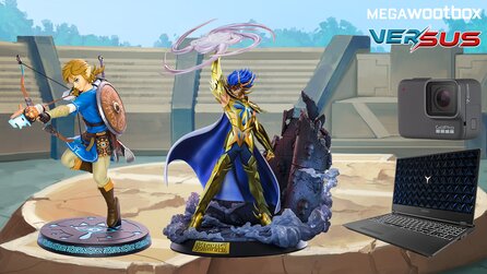 Die 2.000€ Megawootbox zum Thema »Versus«