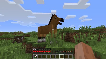 Minecraft - »Realms«-Vermietung nun weltweit verfügbar