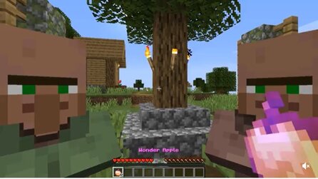 Ein Minecraft-Spieler bringt mit seinen Kurzfilmen tausende Zuschauer zum Lachen