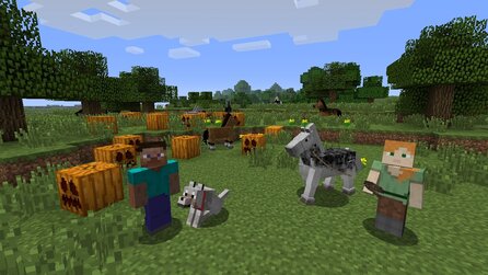 Minecraft - Screenshots der Wii-U-Version