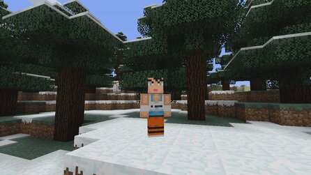 Minecraft: Xbox 360 Edition - Alle Skins aus dem Skin-Pack-3-DLC
