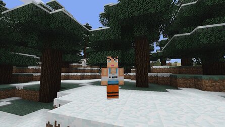 Minecraft: Xbox 360 Edition - Alle Skins aus dem Skin-Pack-2-DLC