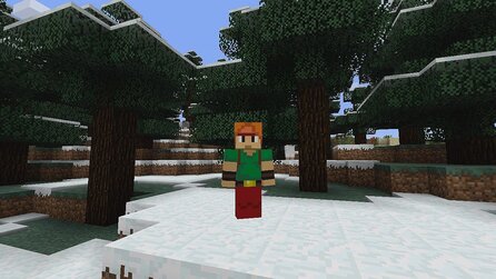 Minecraft: Xbox 360 Edition - Alle Skins aus dem Skin-Pack-2-DLC