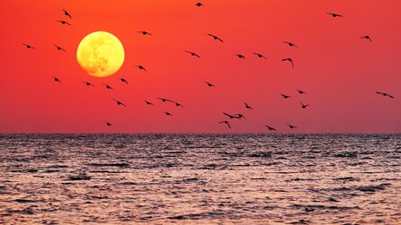 Sonne und Mond könnten die Ursache für Erdbeben sein, so die Wissenschaft