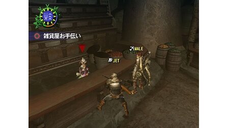 Monster Hunter 2