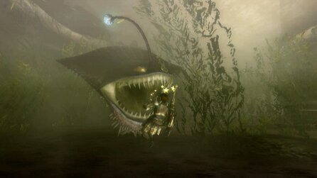 Monster Hunter 3 Wii
