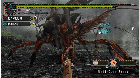 Monster Hunter Freedom Unite
