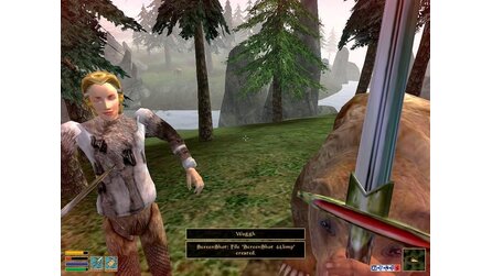 Morrowind: Bloodmoon - Screenshots