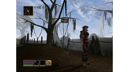 Morrowind - Screenshots