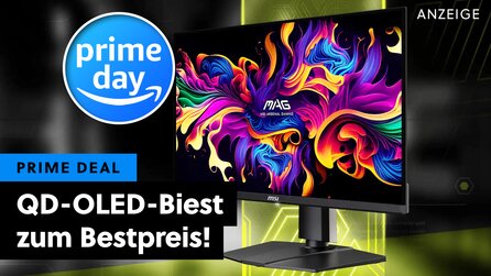Genauso günstig wie am Black Friday: Diesen genialen QD-OLED-Monitor gibt es am Prime Day endlich wieder im Angebot!