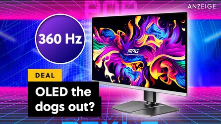 Quantum OLED-Monitor: So gute Farben für diesen Preis sind brutal - WQHD + 360Hz inklusive!