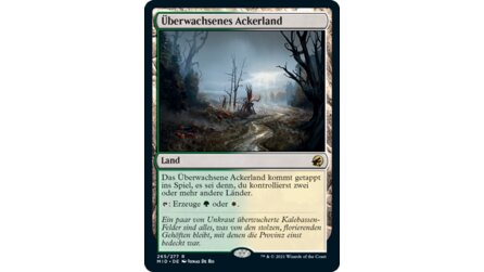 Magic: The Gathering - Innistrad: Midnight Hunt - Alle Länder