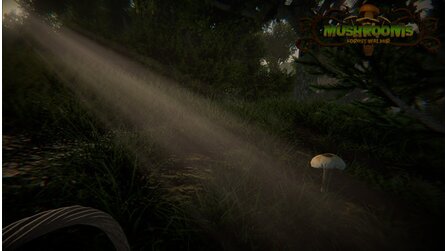 Mushrooms: Forest Walker - Pilzsammel-Simulation angekündigt