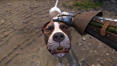 Kingdom Come 2: »Wäre der albernste und beste DLC aller Zeiten« - Fans würden liebend gerne als Köter durchs Mittelalter rennen