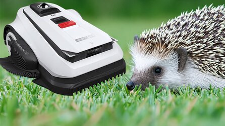 Gefahr für Igel + Co: 6 Mähroboter-Vorurteile im Check – Was stimmt wirklich?